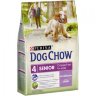 Purina Dog Chow senior для пожилых собак старше 9 лет с ягненком 