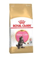 Royal Canin Kitten Maine Coon для котят породы Мэйн Кун от 3 до 15 месяцев 