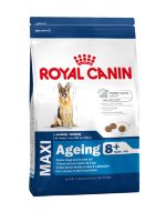 Royal Canin Maxi Ageing 8+ корм для стареющих собак крупных размеров в возрасте старше 8 лет